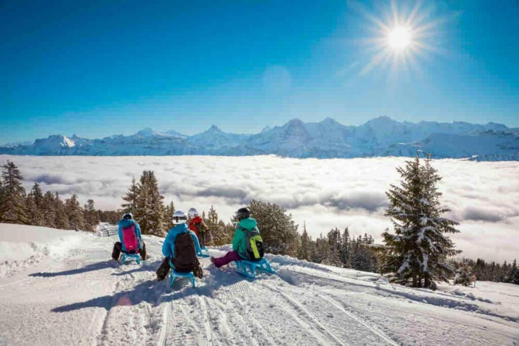 Chalet Mignon - Your Vacation Oasis At Lake Brienz Bönigen Kültér fotó