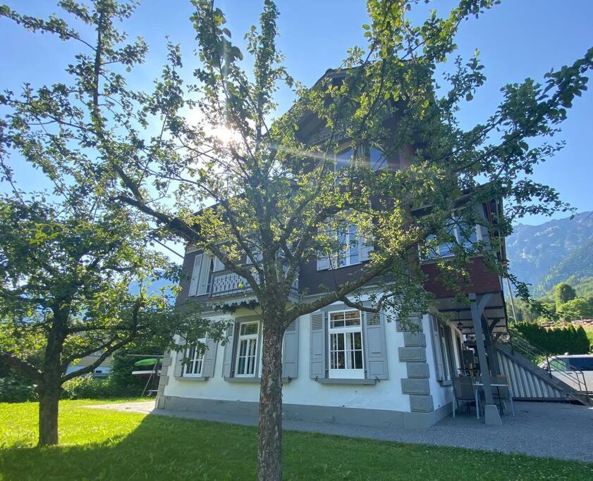 Chalet Mignon - Your Vacation Oasis At Lake Brienz Bönigen Kültér fotó